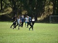 Tn dsc 0944